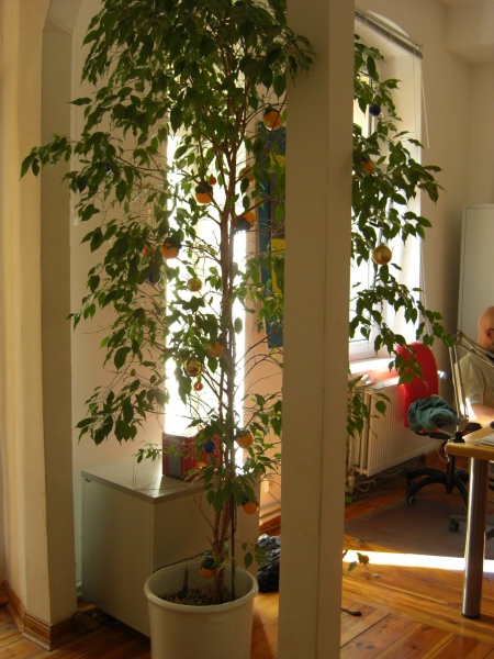 Hausbesuch bei babbel